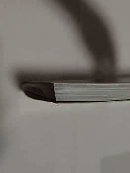 Amazon.co.jp: 伝説の美少女 西村理香 （サンワムック） 力武 靖